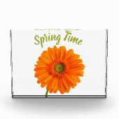 Oranje gerbera - bloem - tijdfoto met tekst fotoblokken (Voorkant)