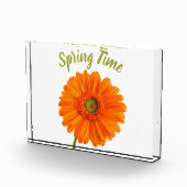 Oranje gerbera - bloem - tijdfoto met tekst fotoblokken (Rechts)