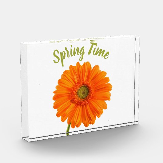 Oranje gerbera - bloem - tijdfoto met tekst fotoblokken (Links)