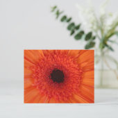 Oranje Gerbera Close Up DIY Briefkaart (Staand voorkant)