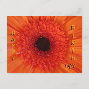 Oranje Gerbera Close Up Happy Birthday Briefkaart