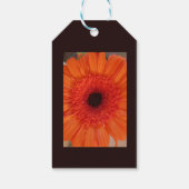 Oranje Gerbera Close Up Happy Birthday Gift Label Cadeaulabel (Achterkant)