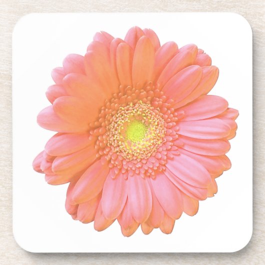 Oranje gerbera daisy bier onderzetter (Voorkant)