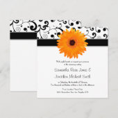 Oranje Gerbera Daisy Black Scroll Design Wedding Kaart (Voorkant / Achterkant)