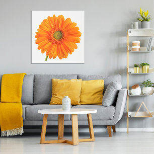 Oranje Gerbera Daisy-bloem op witte foto Poster