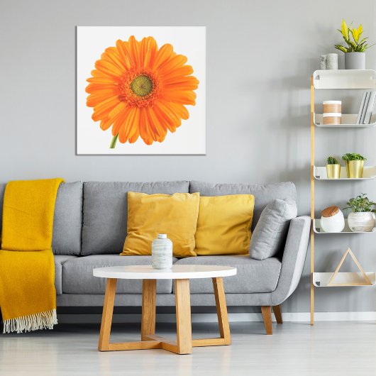 Oranje Gerbera Daisy-bloem op witte foto Poster