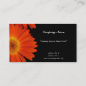 oranje gerbera daisy bloemen visitekaartje (Achterkant)