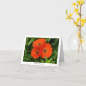 Oranje Gerbera Daisy Collectible Greeting Note Kaart (Gele Bloem)