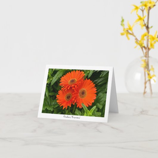 Oranje Gerbera Daisy Collectible Greeting Note Kaart (Gele Bloem)