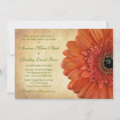 Oranje Gerbera Daisy Fall Wedding Uitnodiging (Voorkant)