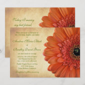 Oranje Gerbera Daisy Fall Wedding Uitnodiging (Voorkant / Achterkant)