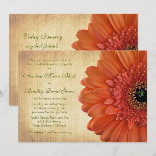 Oranje Gerbera Daisy Fall Wedding Uitnodiging (Voorkant / Achterkant)