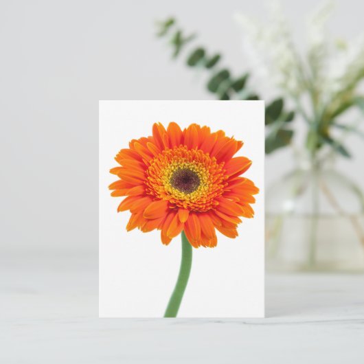 Oranje Gerbera Daisy Flower Briefkaart (Staand voorkant)