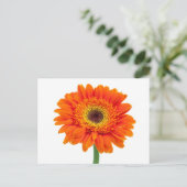 Oranje Gerbera Daisy Flower Briefkaart (Staand voorkant)