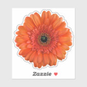 Oranje Gerbera Daisy Flower Kiss-Cut Sticker (Vel)