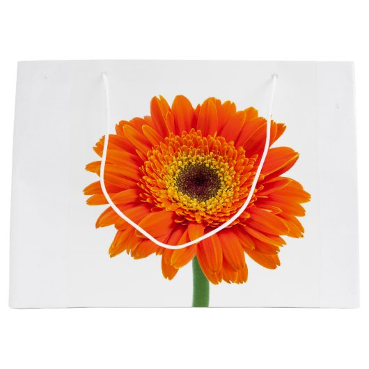 Oranje Gerbera Daisy Flower Large Cadeautasje (Voorkant)