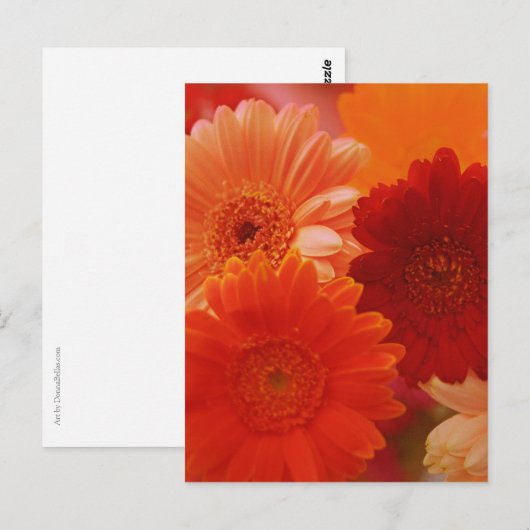 Oranje Gerbera Daisy Flower Photo Art Briefkaart (Voorkant / Achterkant)