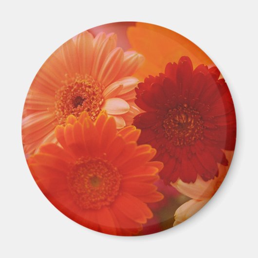 Oranje Gerbera Daisy Flower Refkoelkast Magnet (Voorkant)