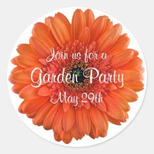 Oranje Gerbera Daisy Garden Party Envelopzegel Ronde Sticker