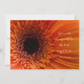 Oranje Gerbera Daisy Macro Wedding Uitnodiging (Achterkant)