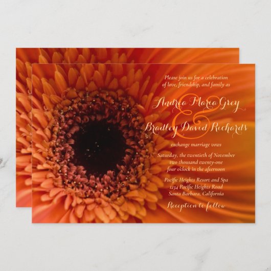 Oranje Gerbera Daisy Macro Wedding Uitnodiging (Voorkant / Achterkant)