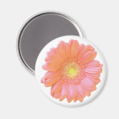 Oranje gerbera daisy magneet (Voorkant / Achterkant)