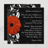 Oranje Gerbera Daisy met zwarte en witte scroller Kaart (Voorkant / Achterkant)