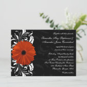 Oranje Gerbera Daisy met zwarte en witte scroller Kaart (Staand voorkant)