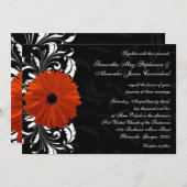 Oranje Gerbera Daisy met zwarte en witte scroller Kaart (Voorkant / Achterkant)