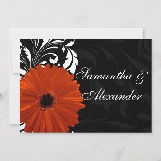 Oranje Gerbera Daisy met zwarte en witte scroller Kaart (Achterkant)