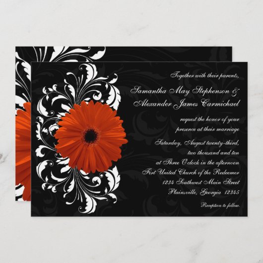 Oranje Gerbera Daisy met zwarte en witte scroller Kaart (Voorkant / Achterkant)