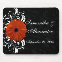 Oranje Gerbera Daisy met zwarte en witte scroller