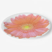 Oranje gerbera daisy papieren bordje (Gekanteld)