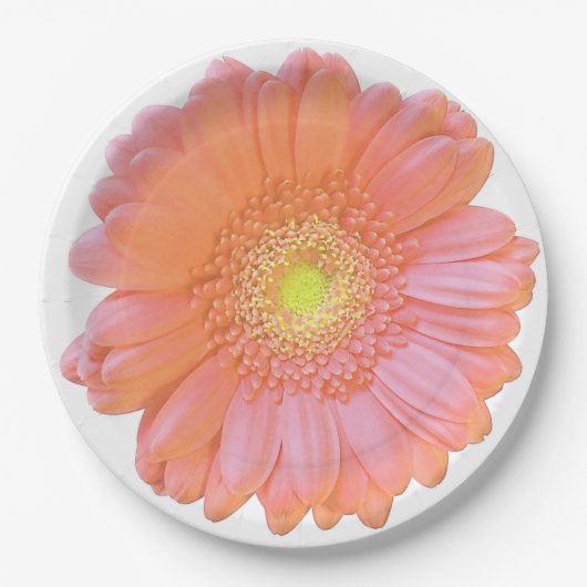Oranje gerbera daisy papieren bordje (Voorkant)