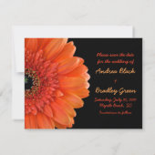 Oranje Gerbera Daisy Photo Wedding Save Date Save The Date (Achterkant)