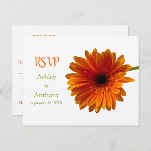 Oranje Gerbera Daisy Reactie Kaart (Voorkant / Achterkant)