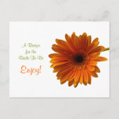 Oranje Gerbera Daisy Recept Kaart (Voorkant)