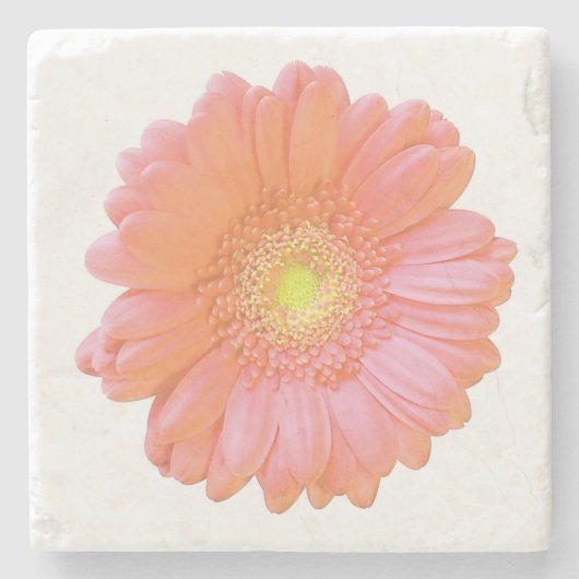 Oranje gerbera daisy stenen onderzetter (Voorkant)