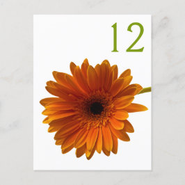 Oranje Gerbera Daisy Tafelnummer Kaart