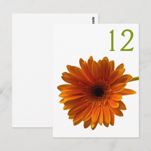 Oranje Gerbera Daisy Tafelnummer Kaart (Voorkant / Achterkant)