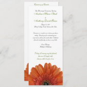 Oranje Gerbera Daisy Wedding Programme Programmakaart (Voorkant / Achterkant)