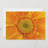 Oranje Gerbera Floral Afstuderen Kaart (Achterkant)