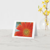 Oranje Gerbera Kaart (Gele Bloem)