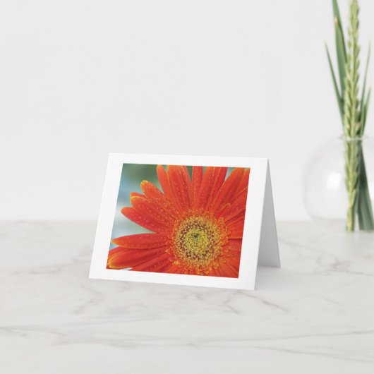 Oranje Gerbera Kaart (Voorkant)
