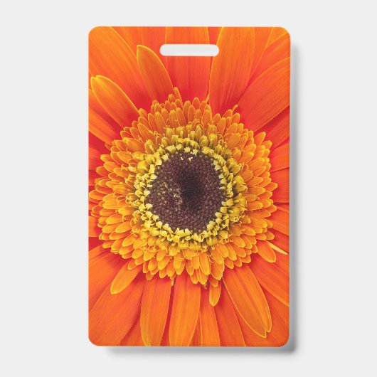 Oranje Gerbera Madeliefje Badge (Voorzijde)