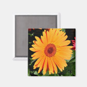 oranje gerbera magneet (Voorkant / Achterkant)