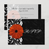 Oranje Gerbera-Margriet met Zwarte en Witte Krulve RSVP Kaartje (Voorkant / Achterkant)
