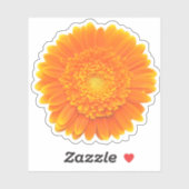 oranje gerbera margriet sticker (Vel)