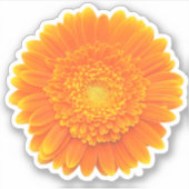 oranje gerbera margriet sticker (Voorkant)