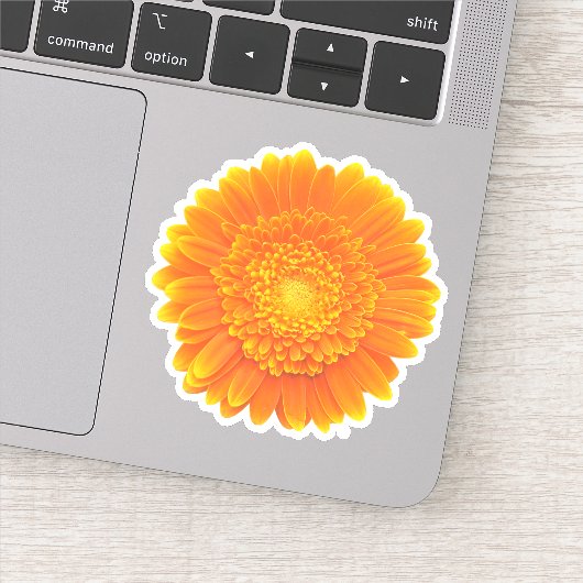 oranje gerbera margriet sticker (Detail)
